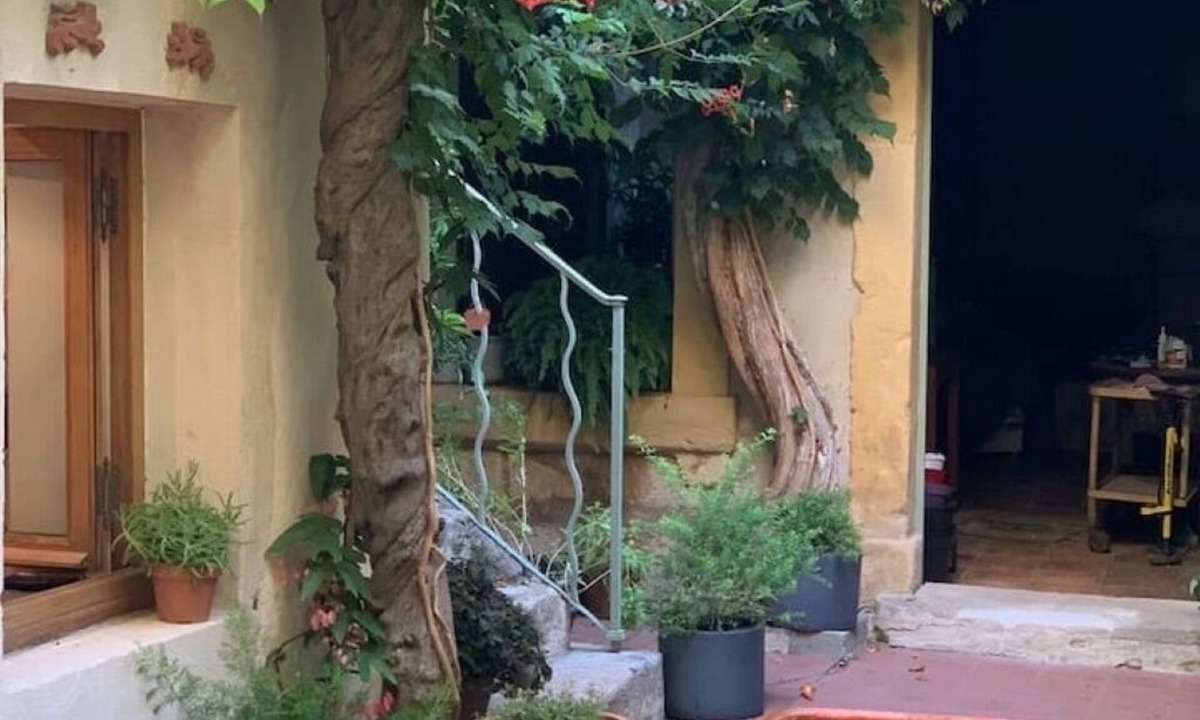 Arles City Centre Bed & Breakfast | 1890 shipbuilder’s home 2 mins from the river ⚓️ Le Patio d’Arles