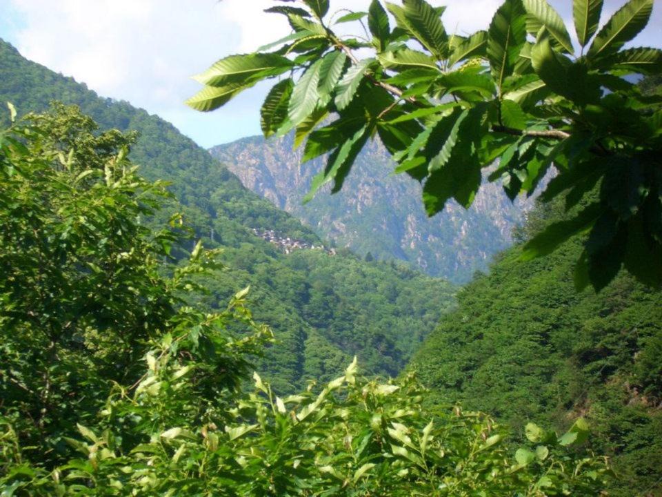 Cicogna Bed & Breakfast | B&B CA' DEL PITUR CICOGNA