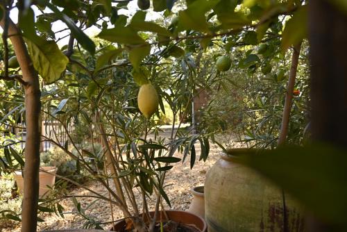 Perpignan House | Bastide le Petit Clos - les 2 Gîtes