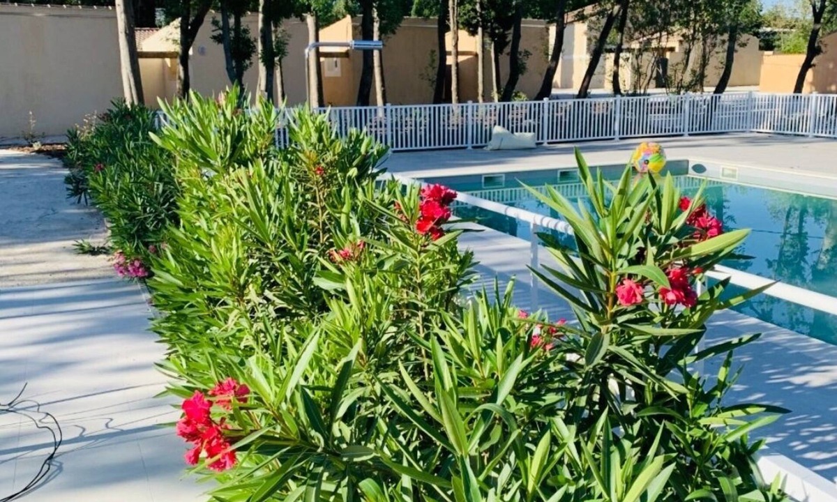 St.-Remy-de-Provence House | Bastidon des Alpilles
