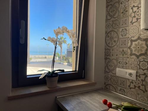 Roseto degli Abruzzi Apartment | Casa vacanza Alba Marina 2