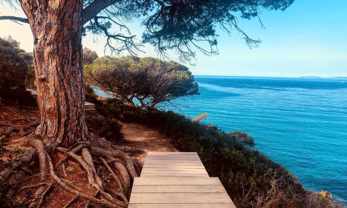 Gassin Ski Chalet | Chalet Avec une vue mer à Couper le Souffle à 5 km de St Tropez