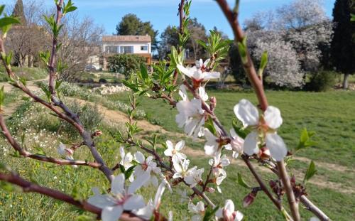 Roquevaire Bed & Breakfast | Chambre d'hôtes Au temps des secrets Roquevaire en Provence