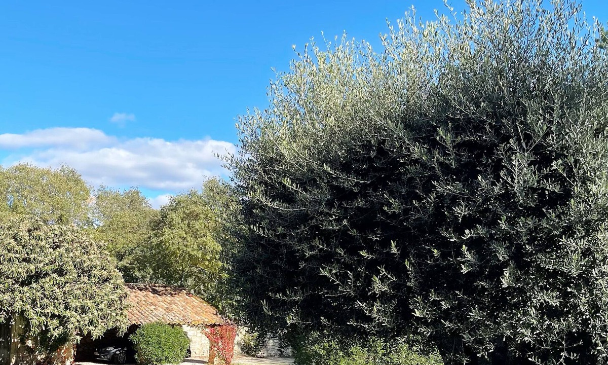 Aubussargues House | Charming house in a very quiet village close to Uzès