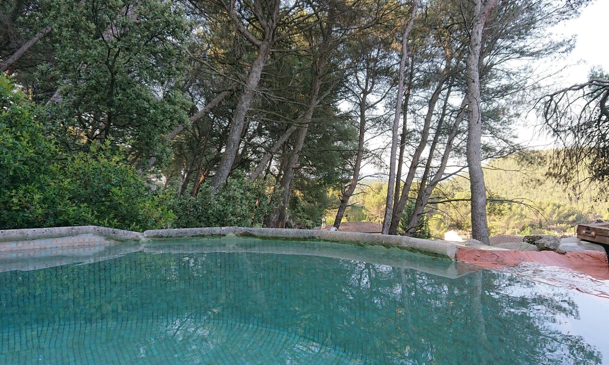 Cornillon-Confoux House | Charming villa with swimming pool in a pine forest