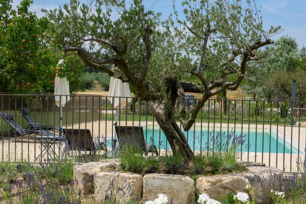 Les Baux-de-Provence Apartment | Domaine du Mas Foucray