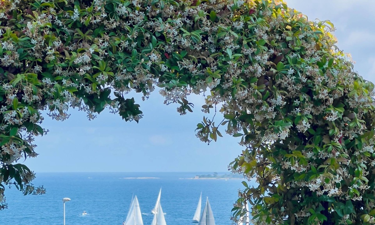 California - Pezou Villa | Eden Sea Cannes – Sea View Terrace Villa