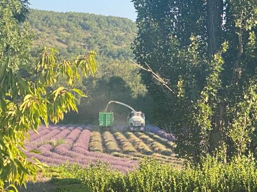 Reillanne House | Gîte Le Tramontane Meublé de tourisme 4 étoiles Le Moulin de Prédelles