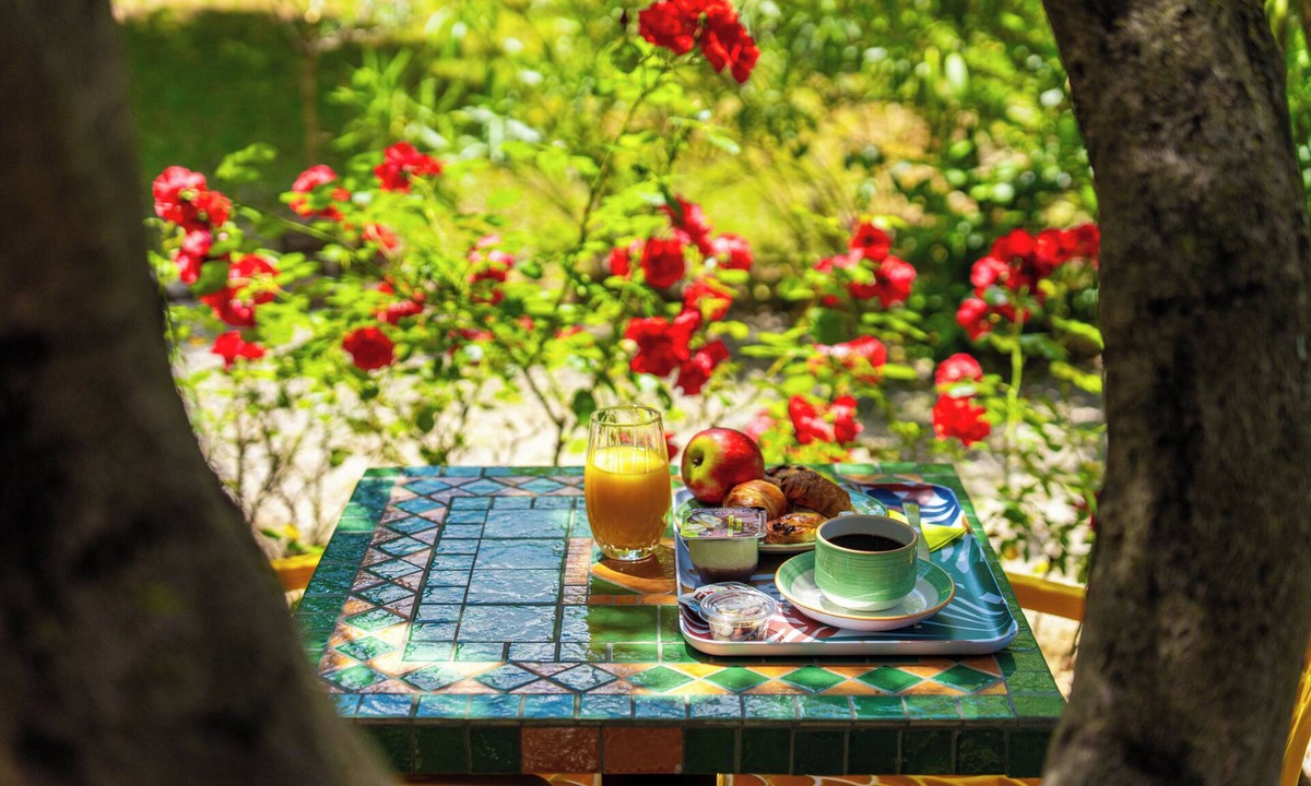 Draguignan Hotel | Hôtel Les Oliviers