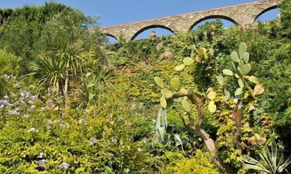 Collioure Hotel | Hotel Méditerranée