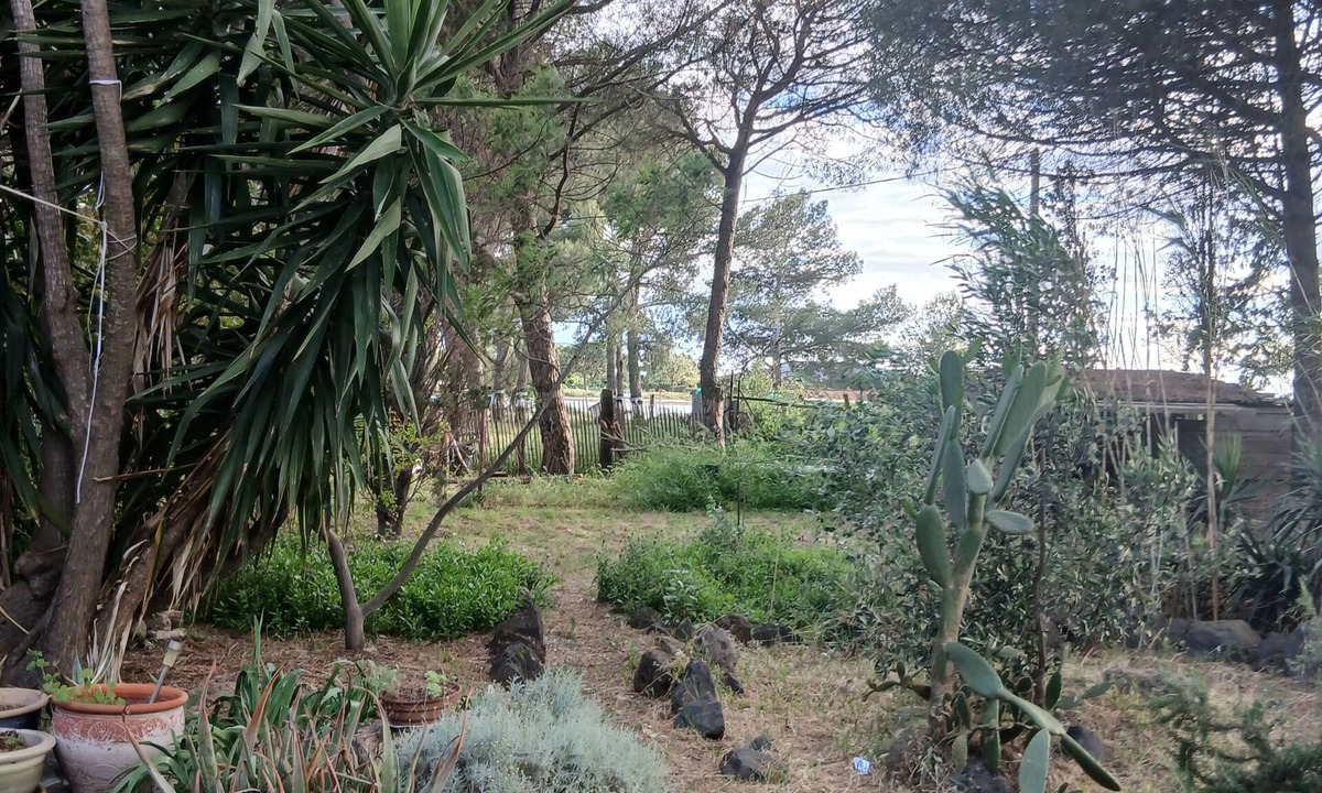 Marseillan Villa | La Bohémienne