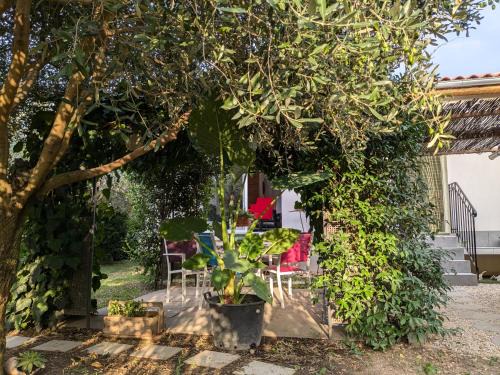 Morieres-les-Avignon Villa | La Maison sous l'olivier
