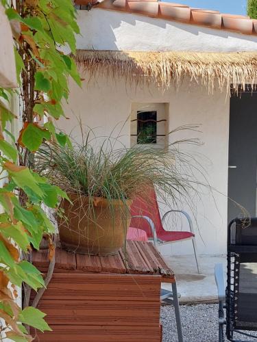 La Barben House | La Micocoule