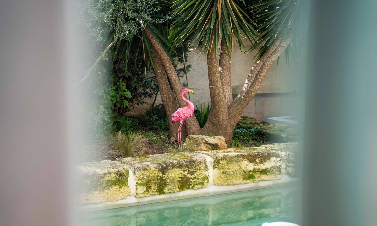 Cadereau Apartment | La Provence downtown, Swimming pool, Garden, Terrace