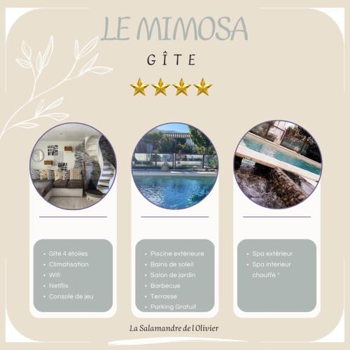 Aubignosc Villa | La Salamandre de l Olivier - le Mimosa