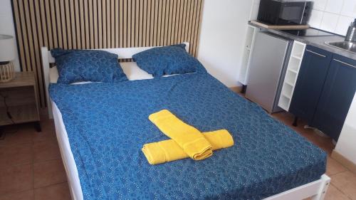 Avignon Apartment | La tanière des Papes