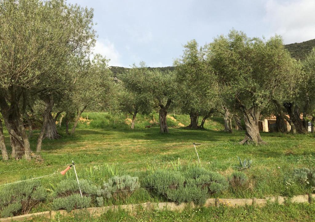 Cucugnan Other | Le Camping de Cucugnan