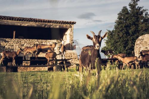 Sivergues House | Le Domaine du Castellas