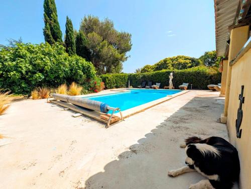 Istres Apartment | Le Gîte d'Entressen studio Piscine Jeux & Pétanque Istres Miramas