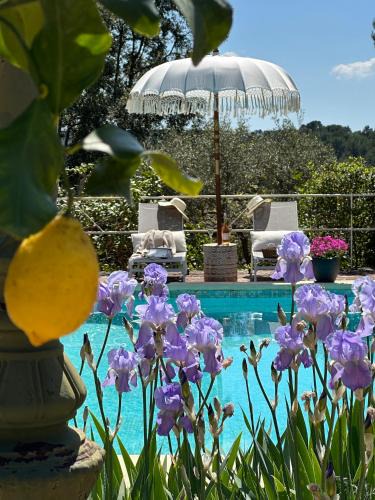 Lorgues Bed & Breakfast | Les Pervenches - B&B Cottages en Lorgues