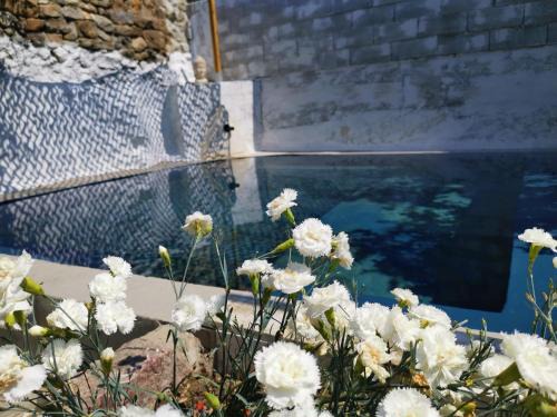 Cabrieres House | Mas de Gaussel