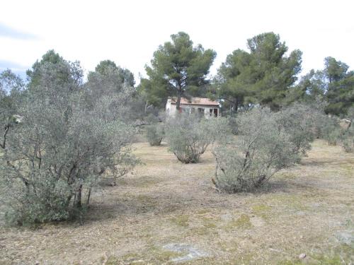 Mouries House | Mazet pleine nature