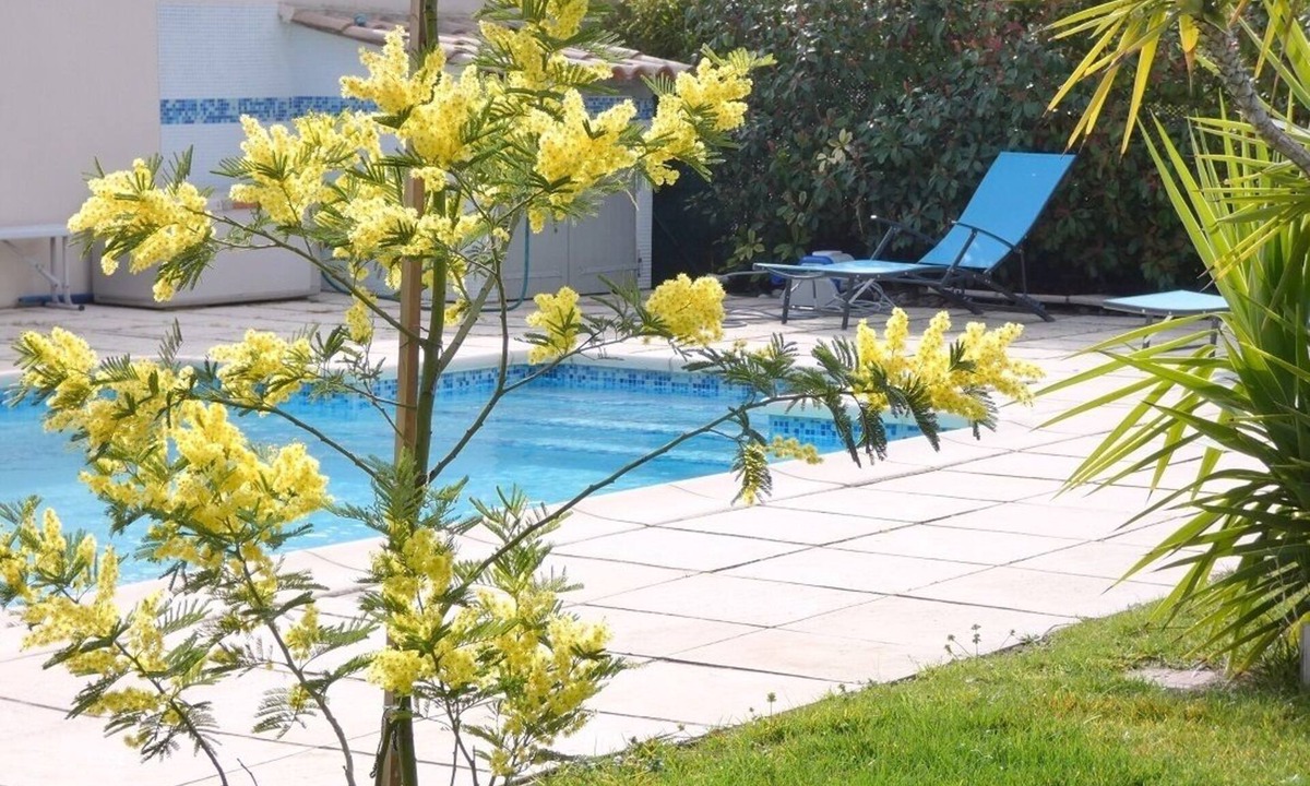 Aigues-Mortes Villa | MODERN VILLA near town center