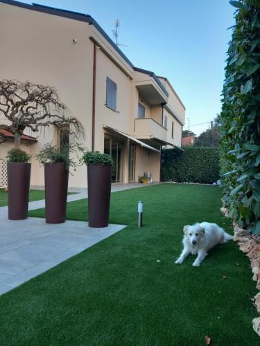 Imola Bed & Breakfast | Montevecchi13