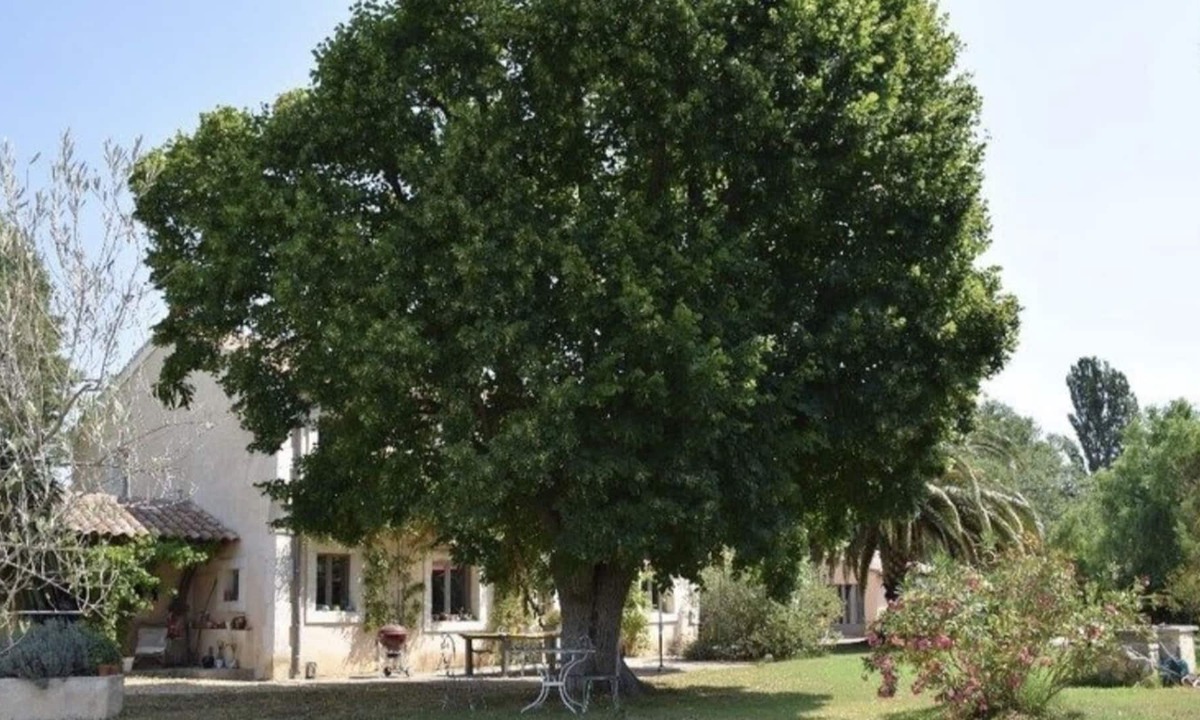 Raphele-les-Arles Other | Old French Farmhouse, Pool, 10 minutes from Arles