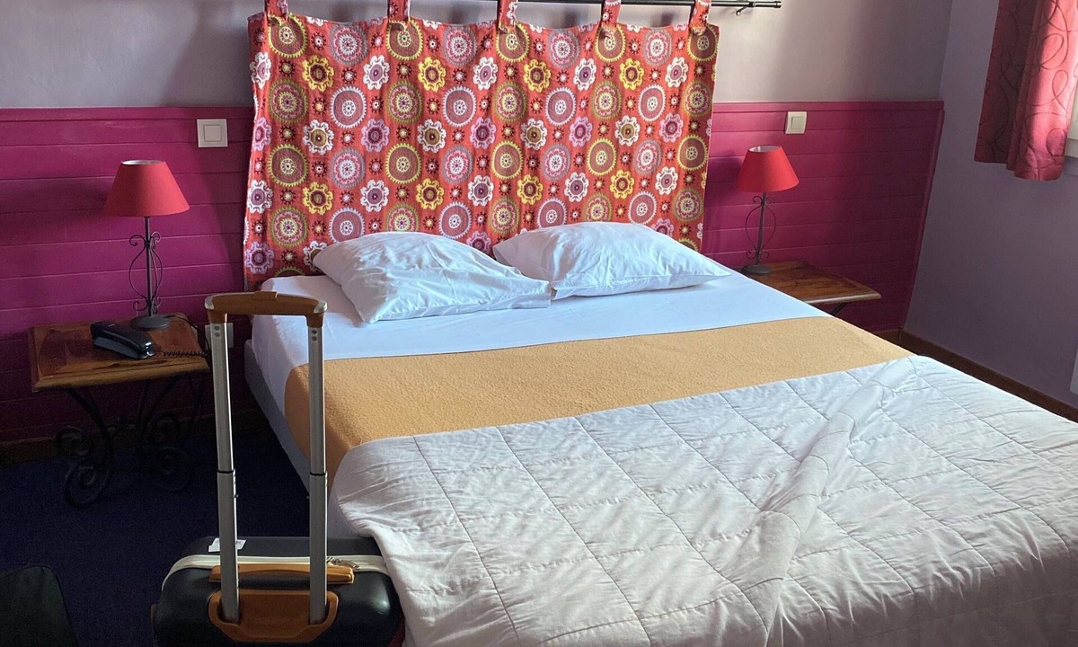 Digne-les-Bains Hotel | Pet-Friendly Room Close to Musée Gassendi
