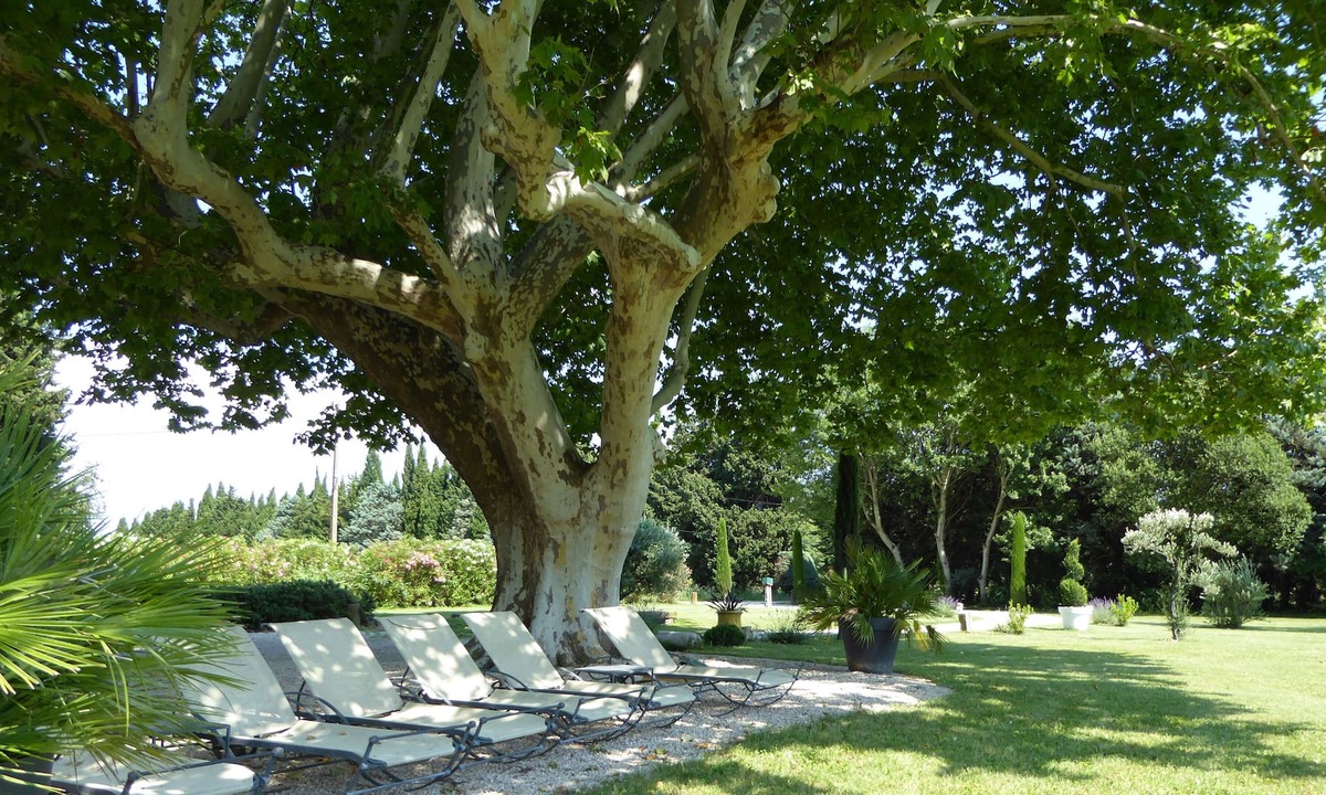 Saint-Andiol House | Provencal farmhouse and its hundred-year-old plane tree, heated and secure pool