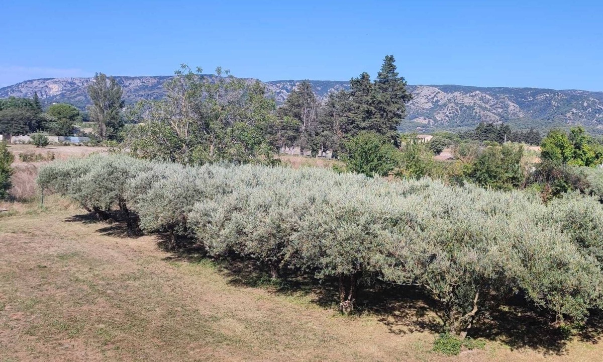 Cheval-Blanc House | Quiet country house surrounded by olive trees, at the foot of the Luberon in Provence.