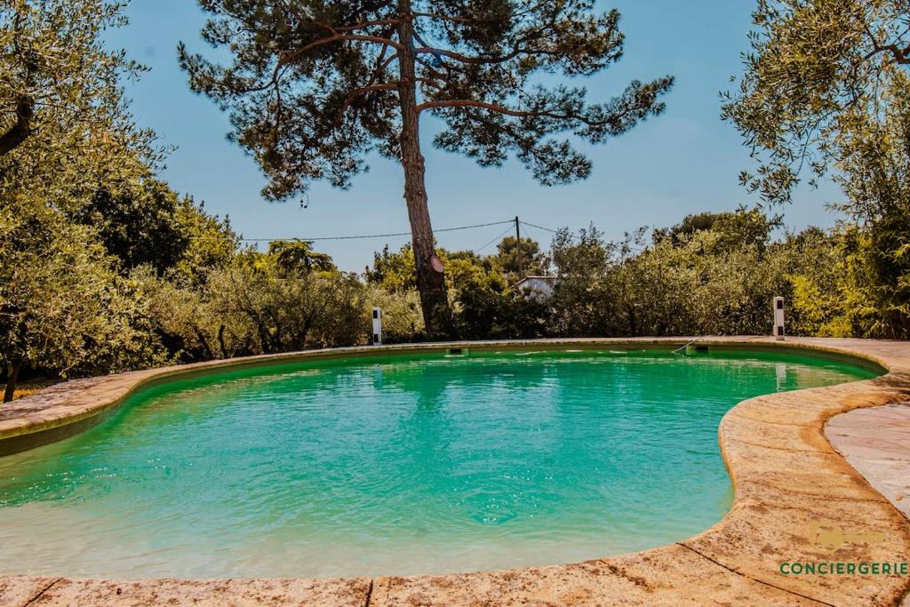 Quartier des Espesses House | Soleil, cigales & piscine dans les hauts de Nîmes