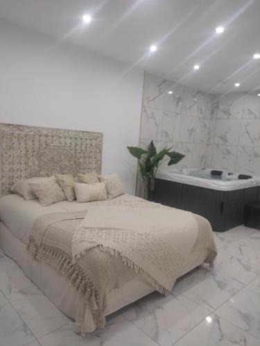 Saint-Andiol Apartment | Spa NESSA