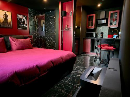 Centre Historique Apartment | Studio Cinéma privé Centre ville & King size