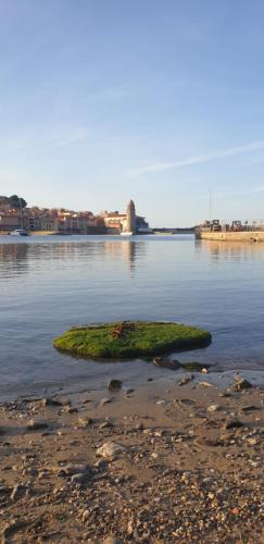 Collioure Apartment | Studio du pêcheur