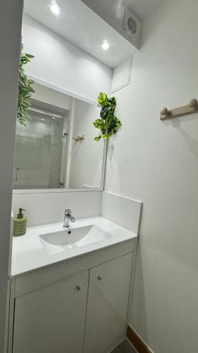 Salon-de-Provence Apartment | studio lafayette