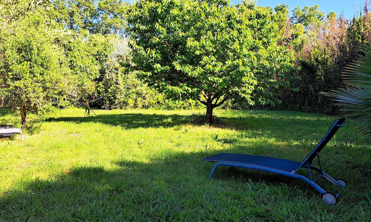 Hyeres House | Sunny Garden Cottage - Hyères, 5 minutes from the beaches