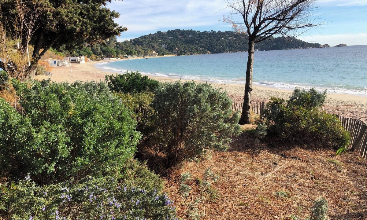 Cavaliere Apartment | T2 RDC lavandou cavaliere 80 metres from the superb cavaliere beach