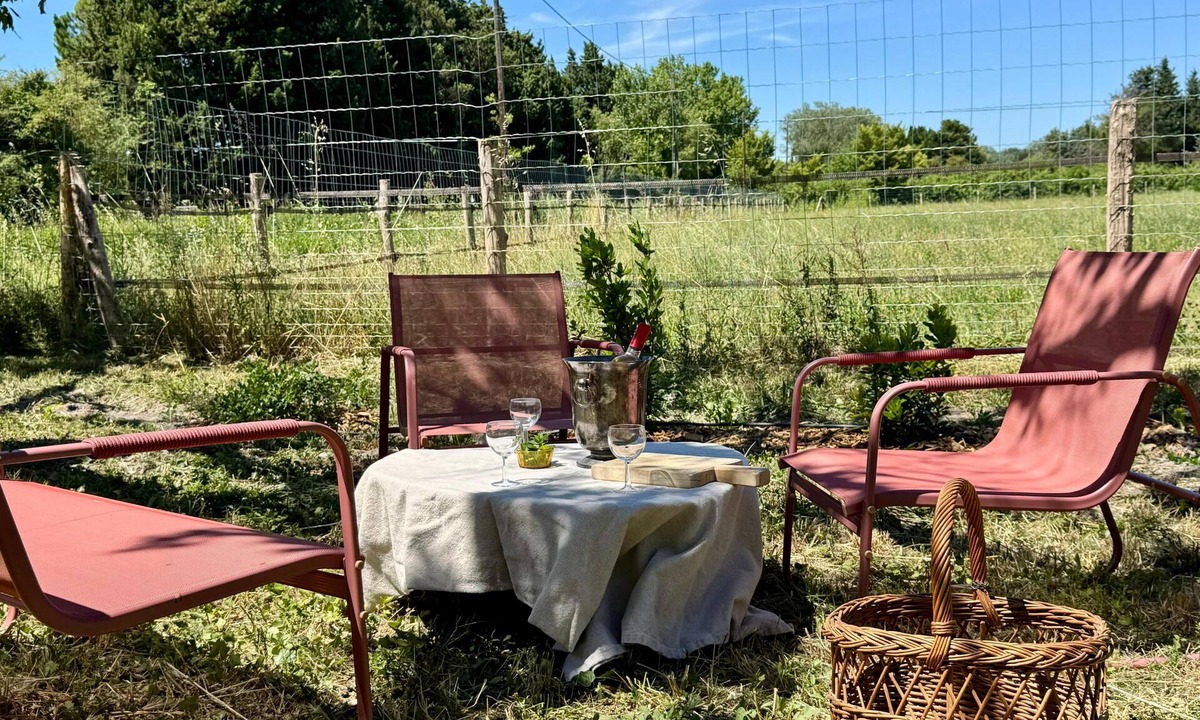 Paluds de Noves House | Vacation Home in the Alpilles, Provence