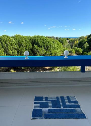 Le Grand Travers Apartment | Vue mer, terrasse,clim, wifi, parking, piscine