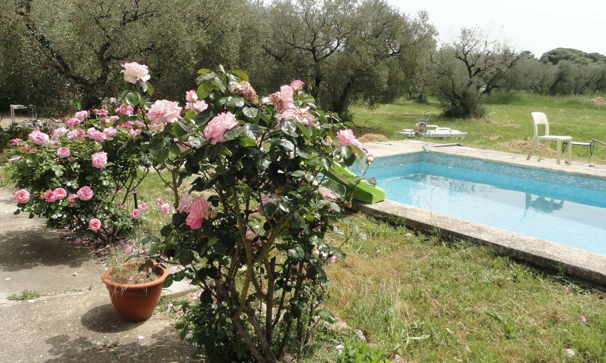 Maussane-les-Alpilles Apartment | Welcome to the Alpilles