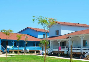 43 m² Resort ∙ 2 bedrooms ∙ 6 guests