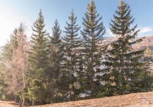 Appartement familial 3 pièces, 8 couchages, proche des pistes à Serre-Chevalier, balcon sud. - FR-1-330E-122