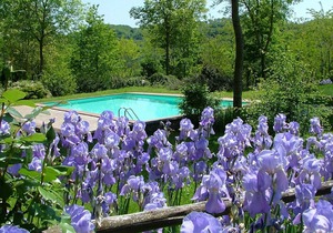 Romantic accommodation, in a castle, with swimming pool
