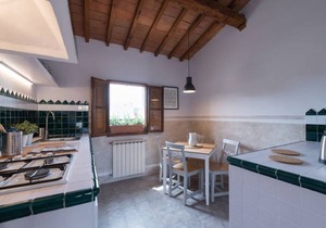 The apartment consists of a double bedroom, a comfortable living room with a sofa, a kitchen furnished in the Florentine style and equipped with all necessary utensils, and a bathroom. The apartment has been recently renovated.