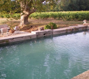 Domaine Du Dragon 