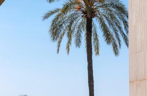 Roquebrune-Cap-Martin Apartment | 2 Pièces Bord de Mer avec Jardin