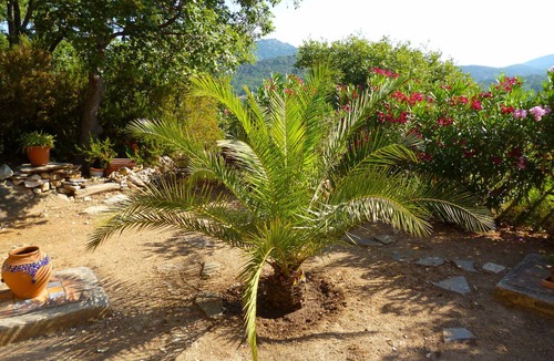 Grimaud Apartment | 57 m² Apartment ∙ 1 bedroom ∙ 4 guests