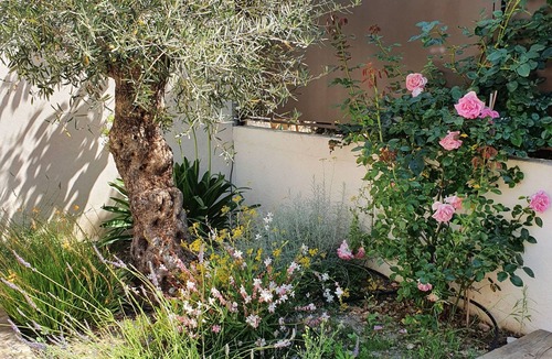 Lancon-Provence House | A house with no neighbors directly across the street in a small village in Provence